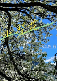 小梨花月季